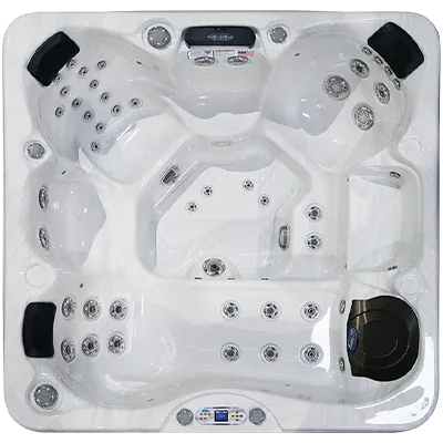 Avalon EC-849L hot tubs for sale in San Mateo