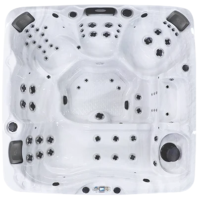Avalon EC-867L hot tubs for sale in San Mateo